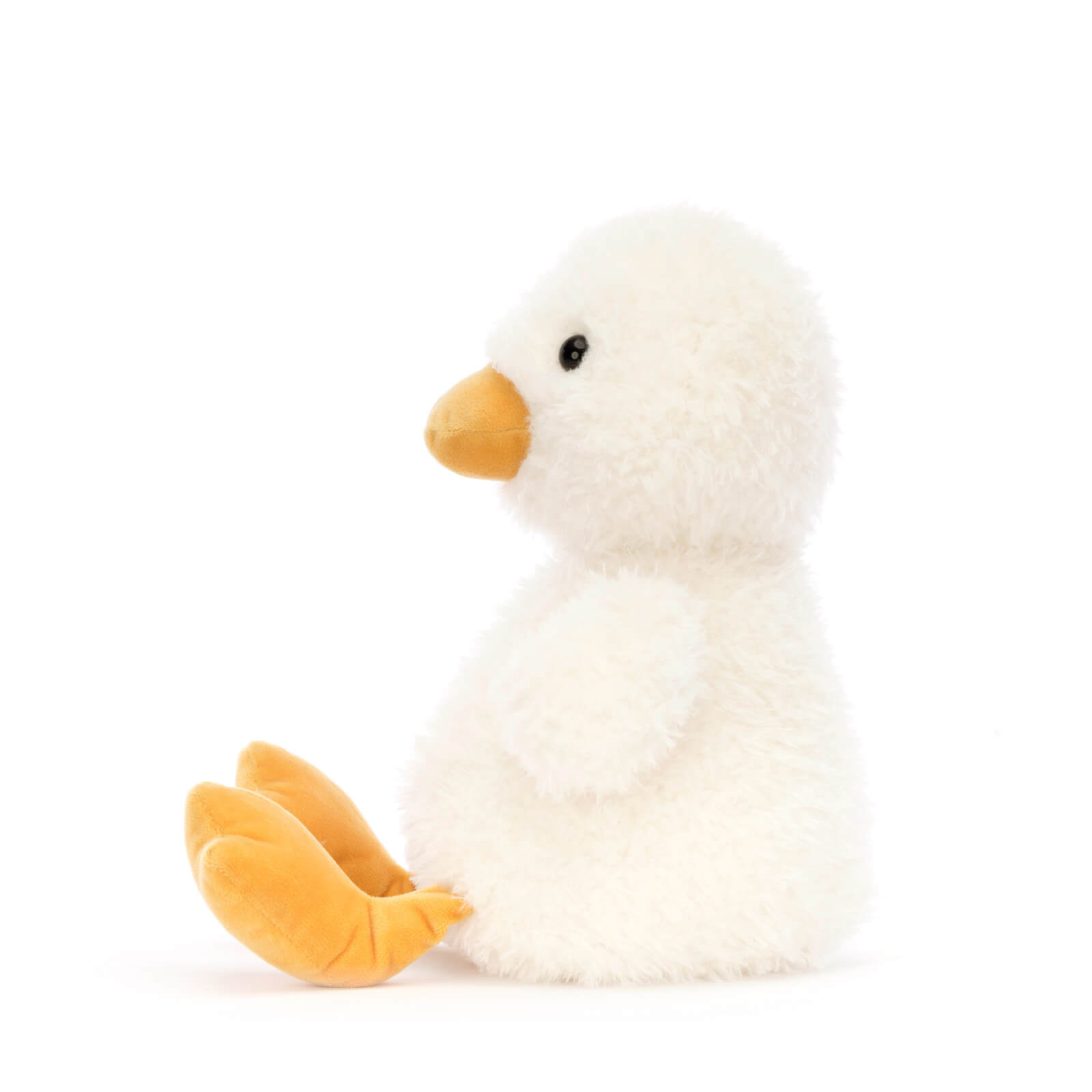 Dory Duck