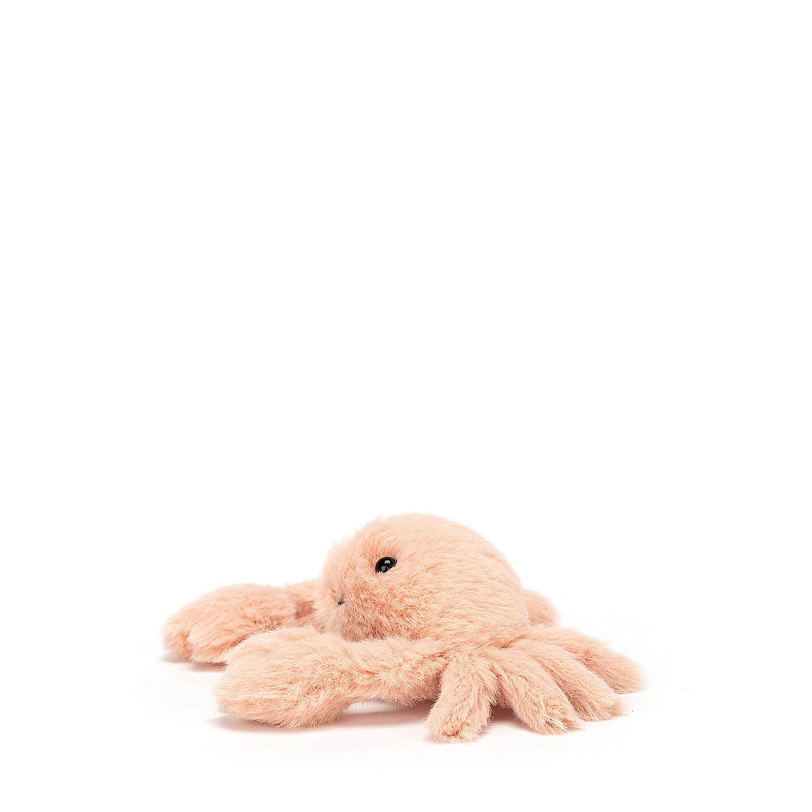 Fluffy Crab