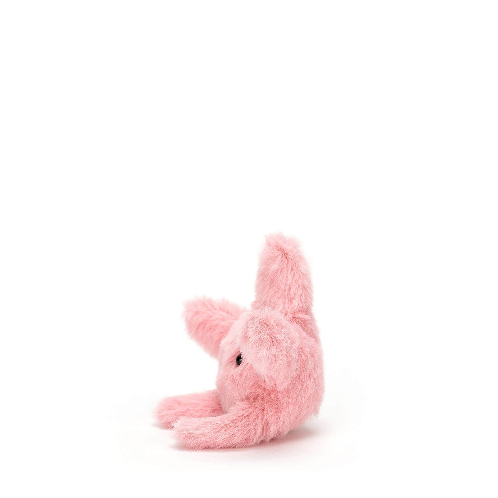 Fluffy Starfish