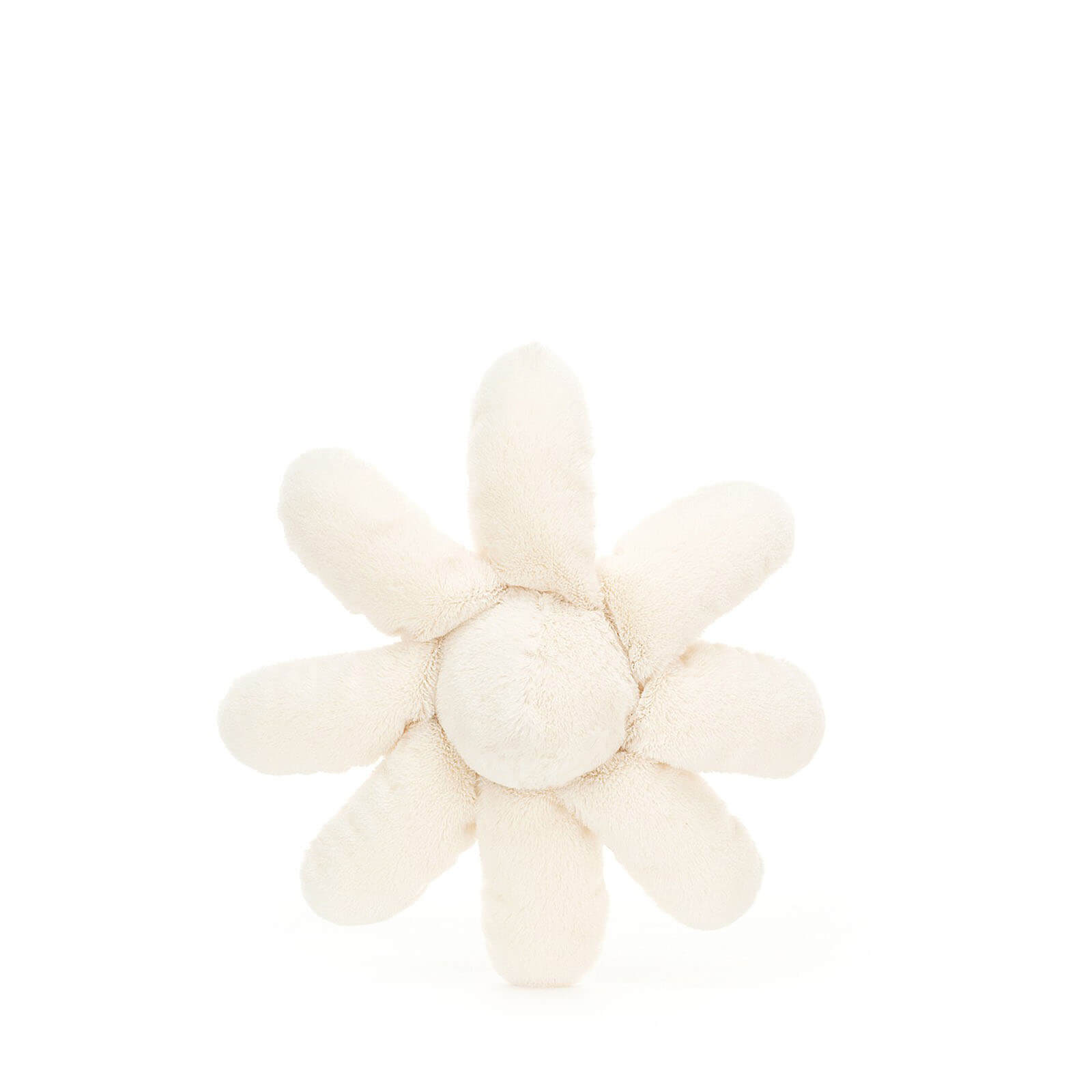 Small Fleury Daisy