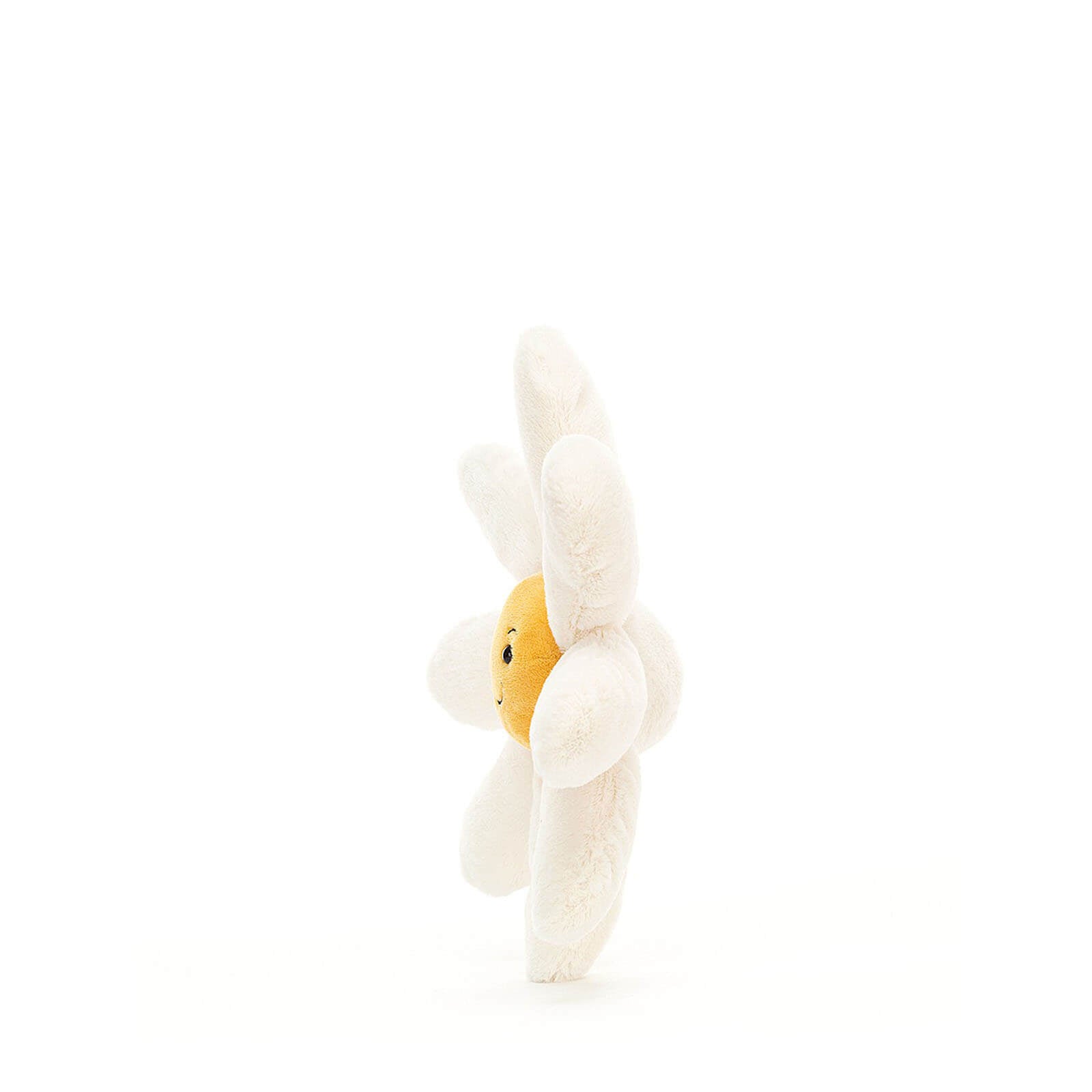Small Fleury Daisy