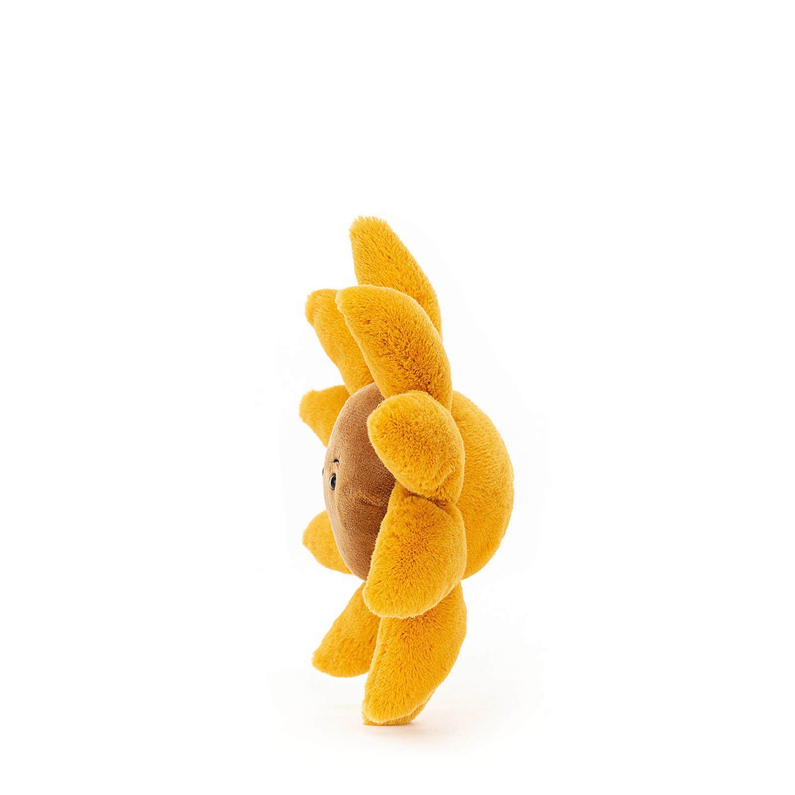 Small Fleury Sunflower