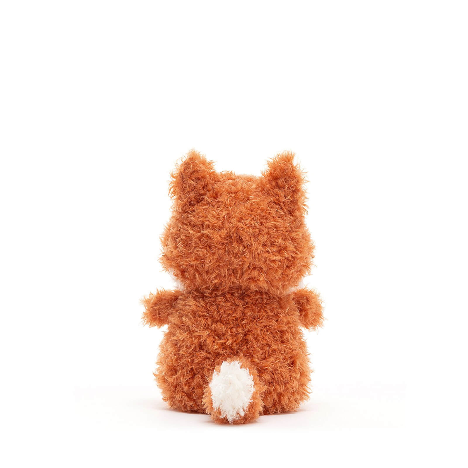 Little Fox
