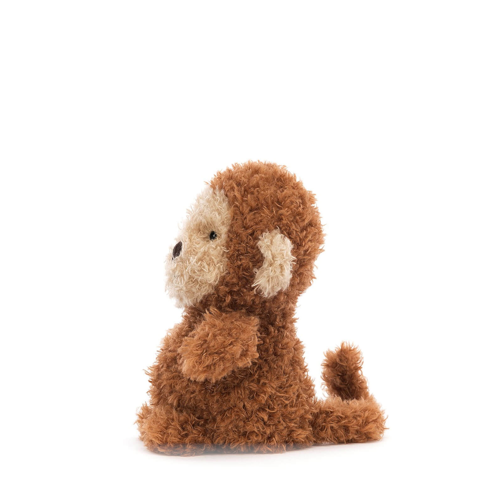 Little Monkey
