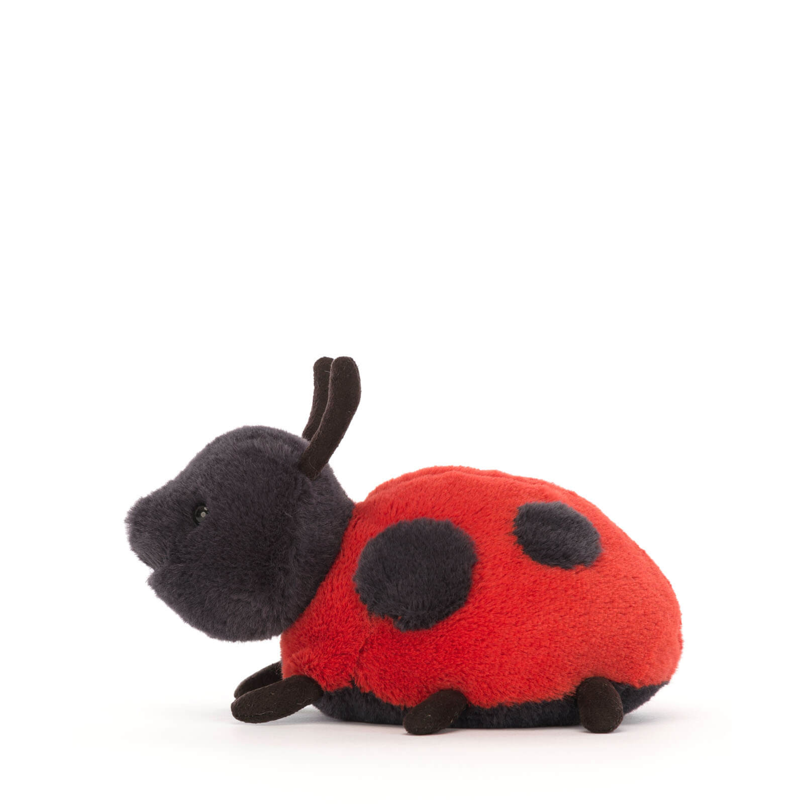 Layla Ladybird