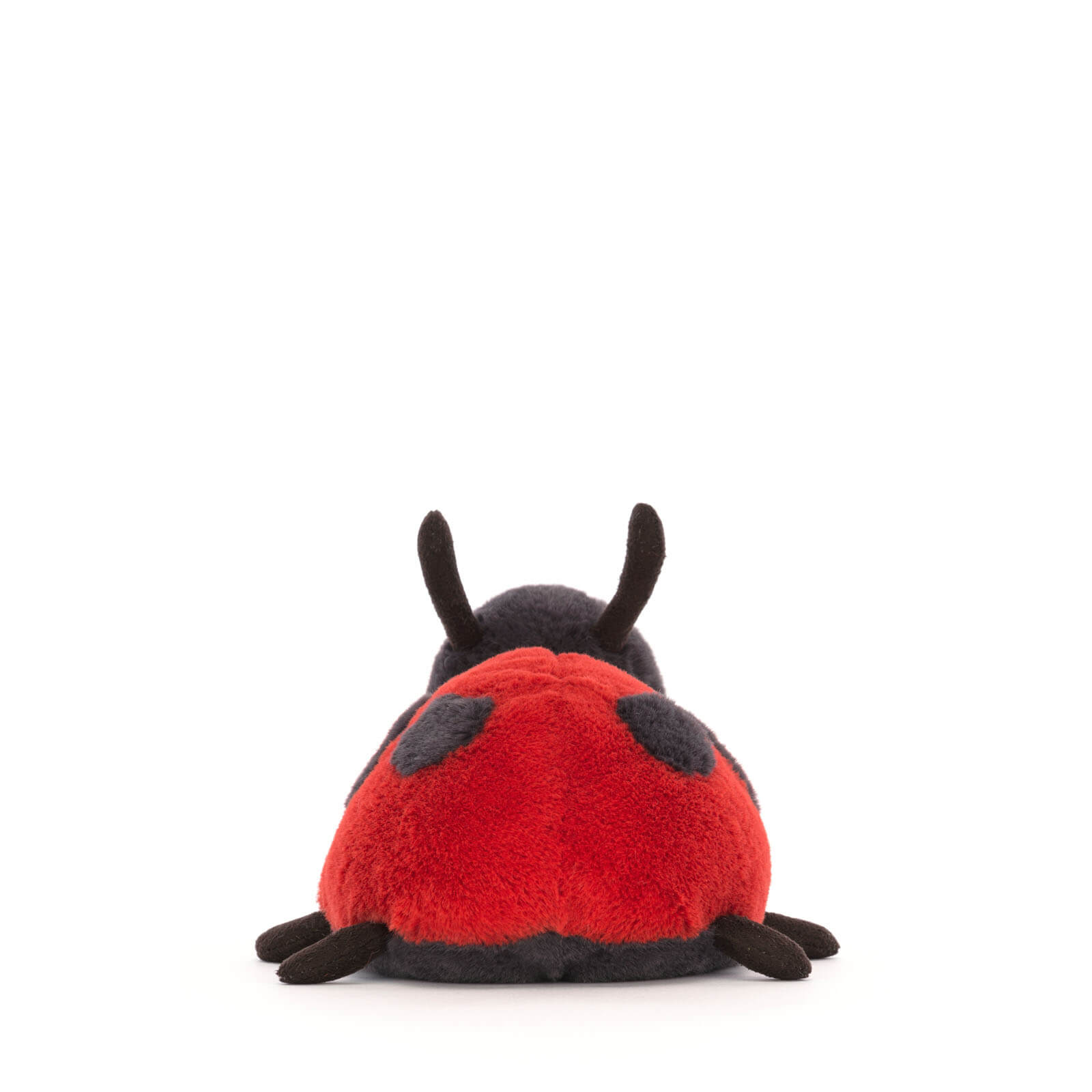 Layla Ladybird
