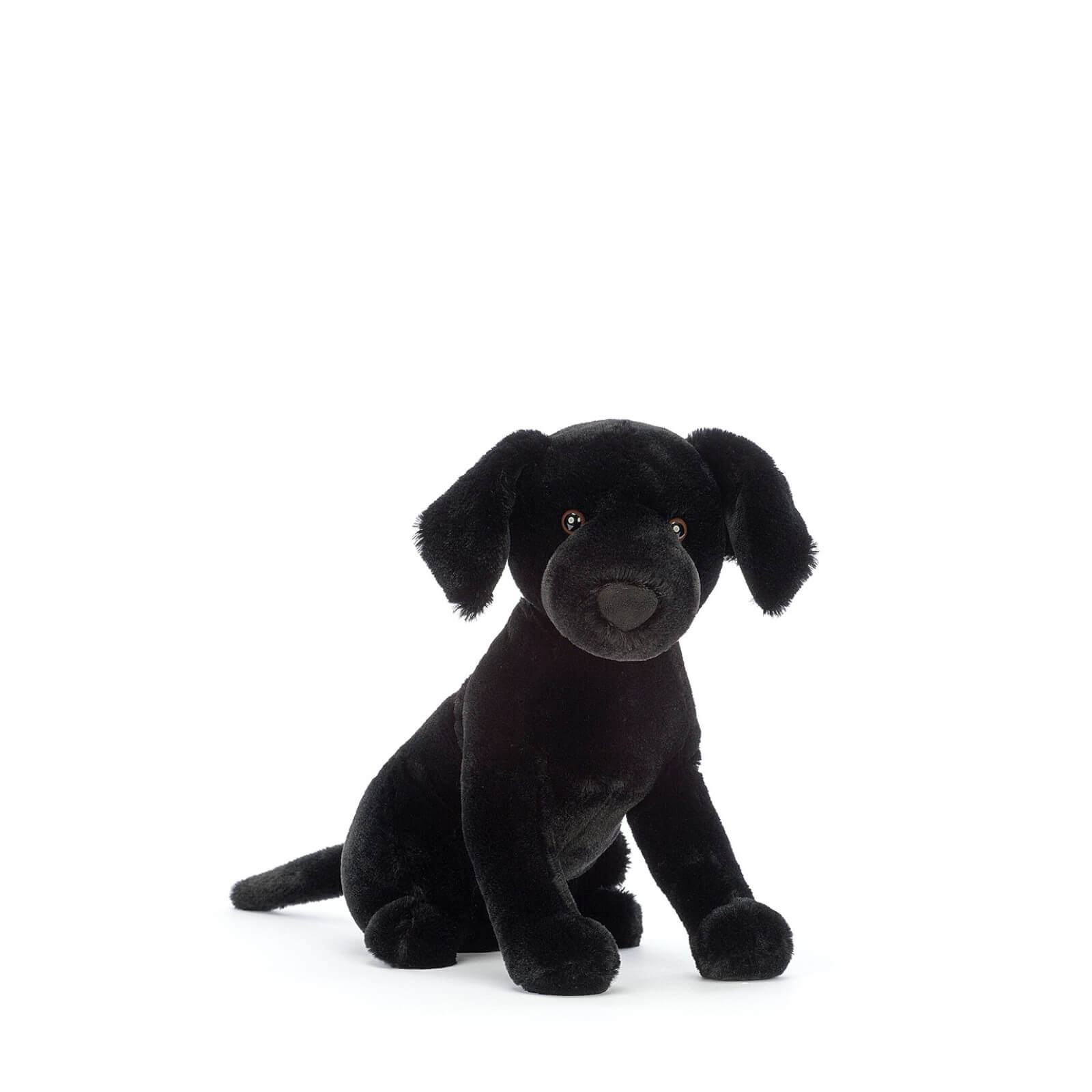 Pippa Black Labrador