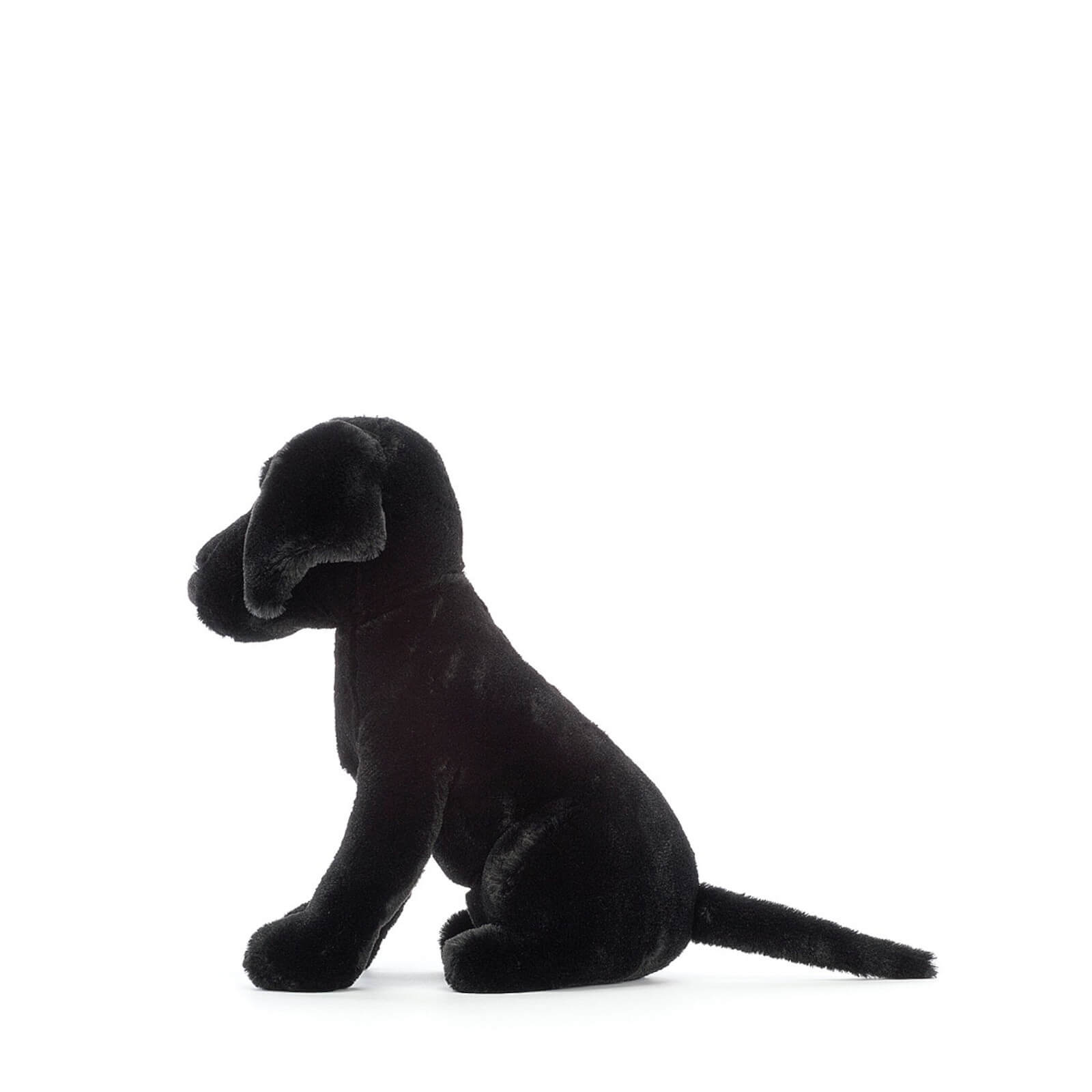 Pippa Black Labrador