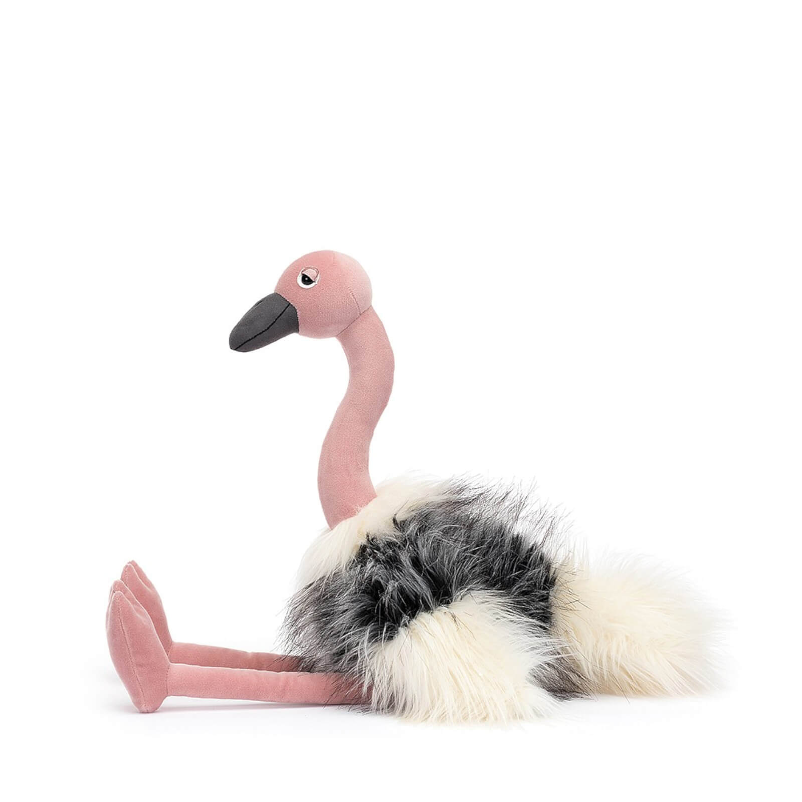 Ramonda Ostrich