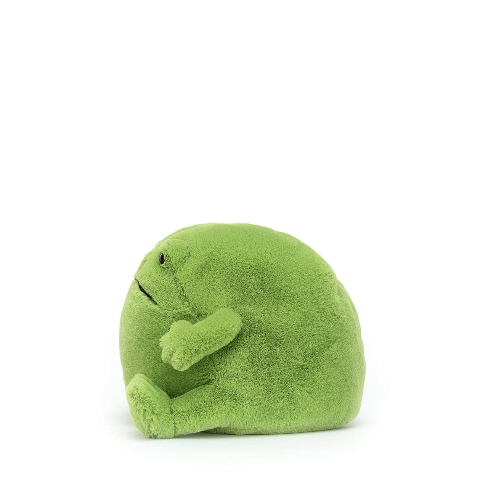 Ricky Rain Frog
