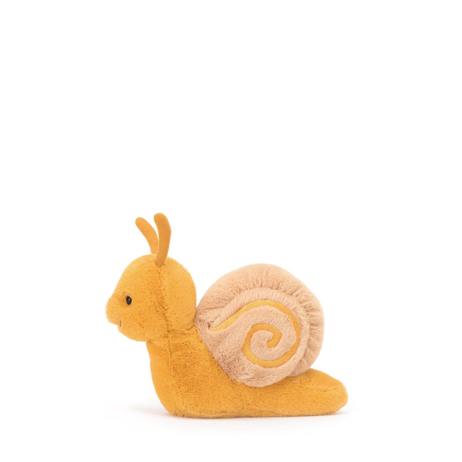 Sandy Snail
