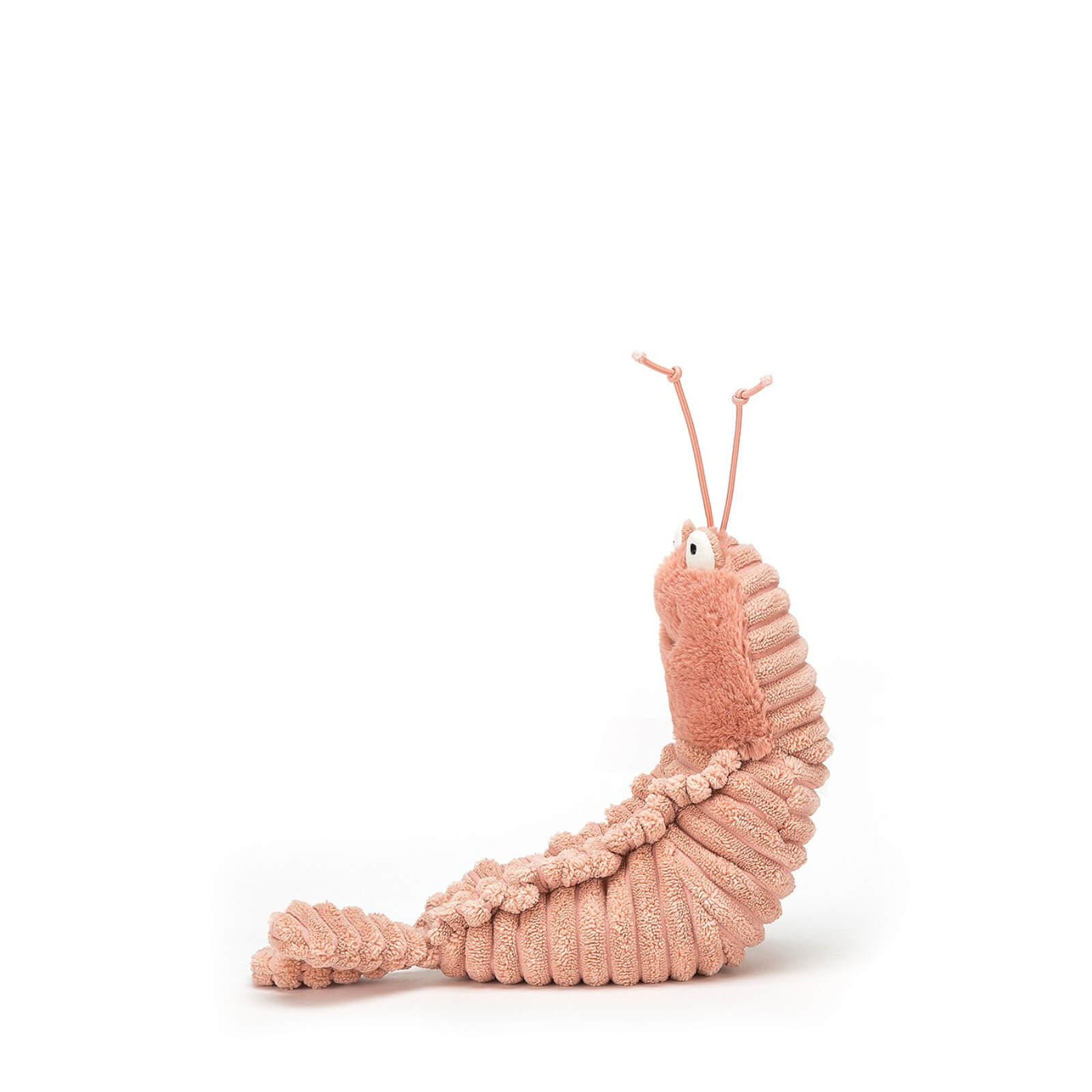 Sheldon Shrimp