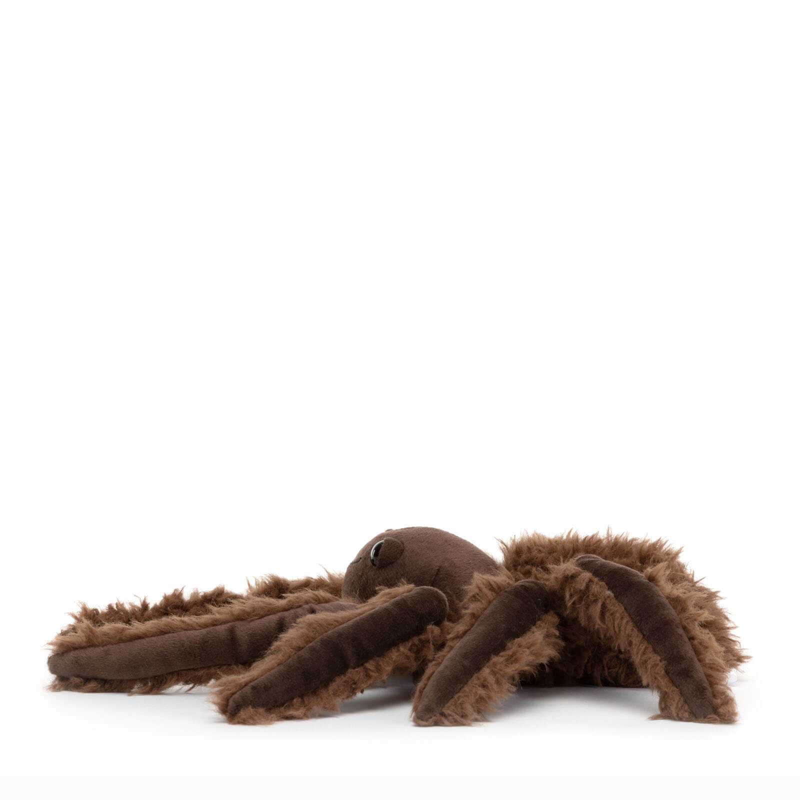 Small Spindleshanks Spider