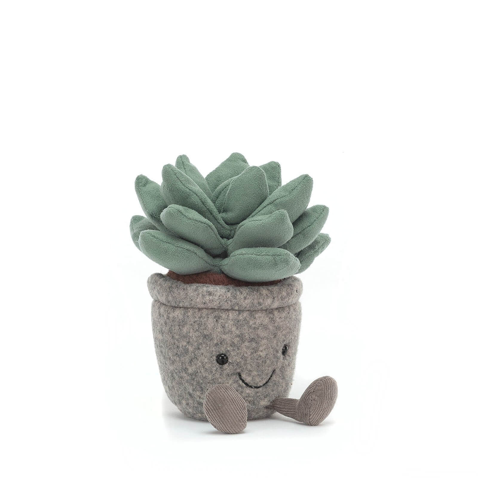 Silly Succulent Azulita