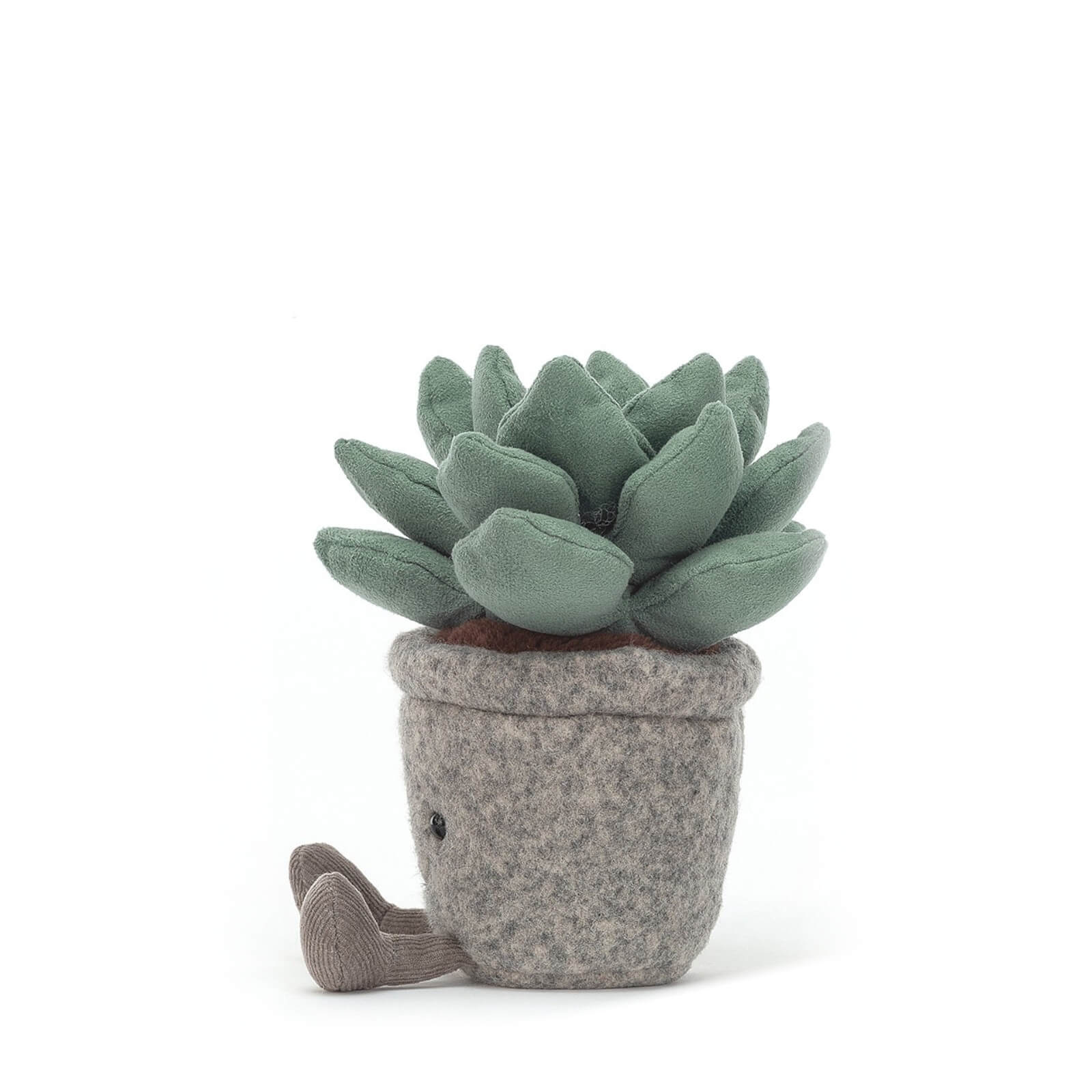 Silly Succulent Azulita
