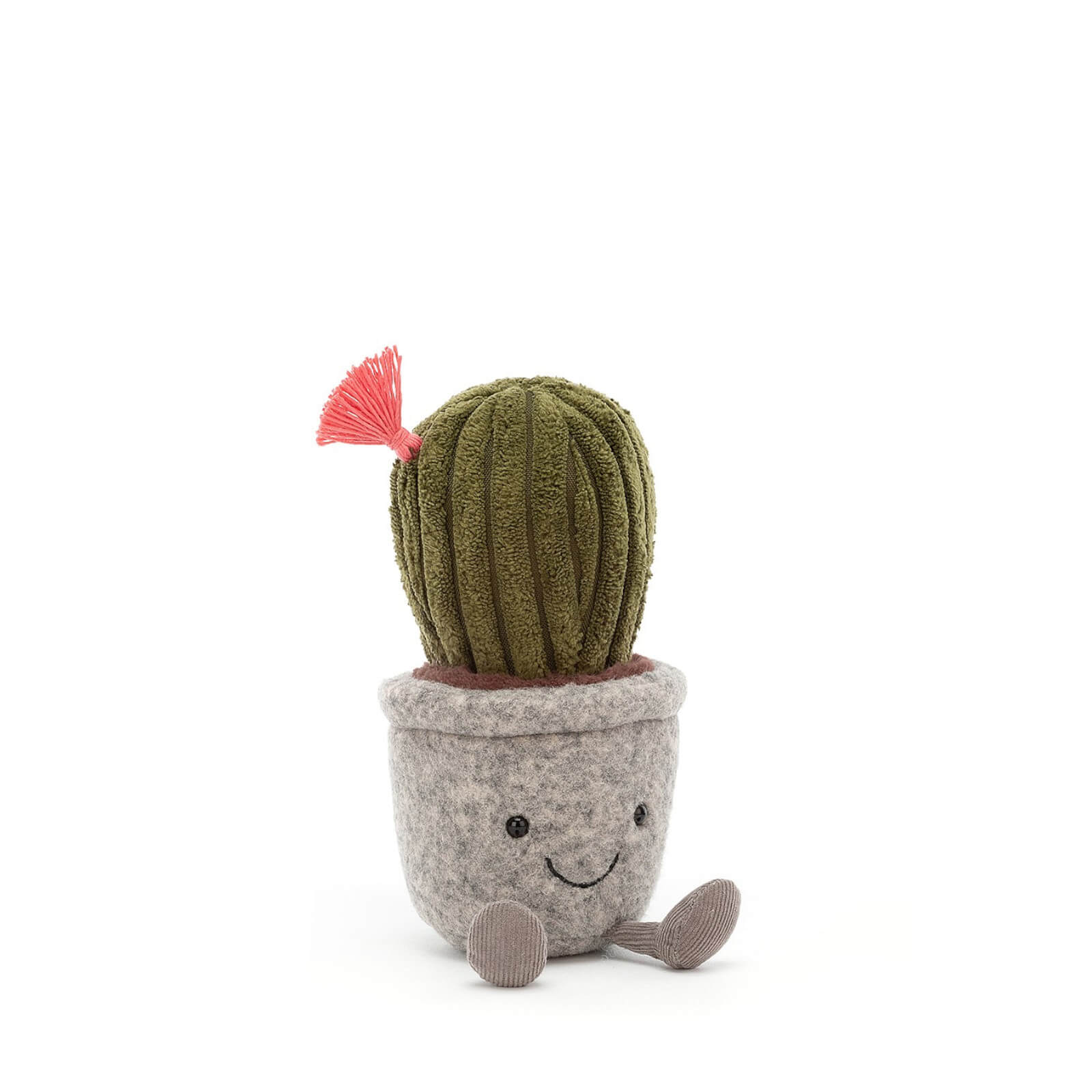 Silly Succulent Barrel Cactus