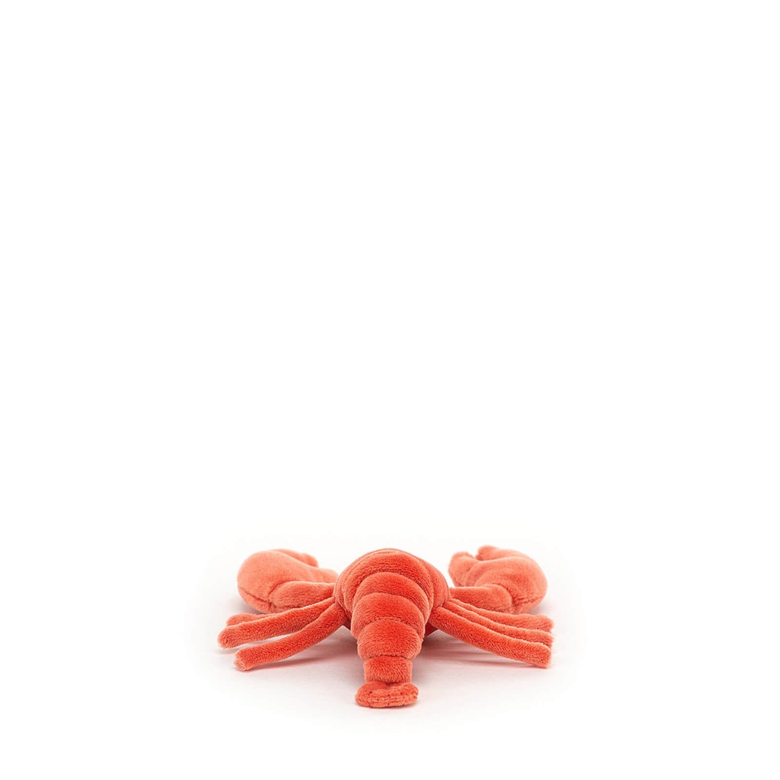 Sensational Seafood - Lobster