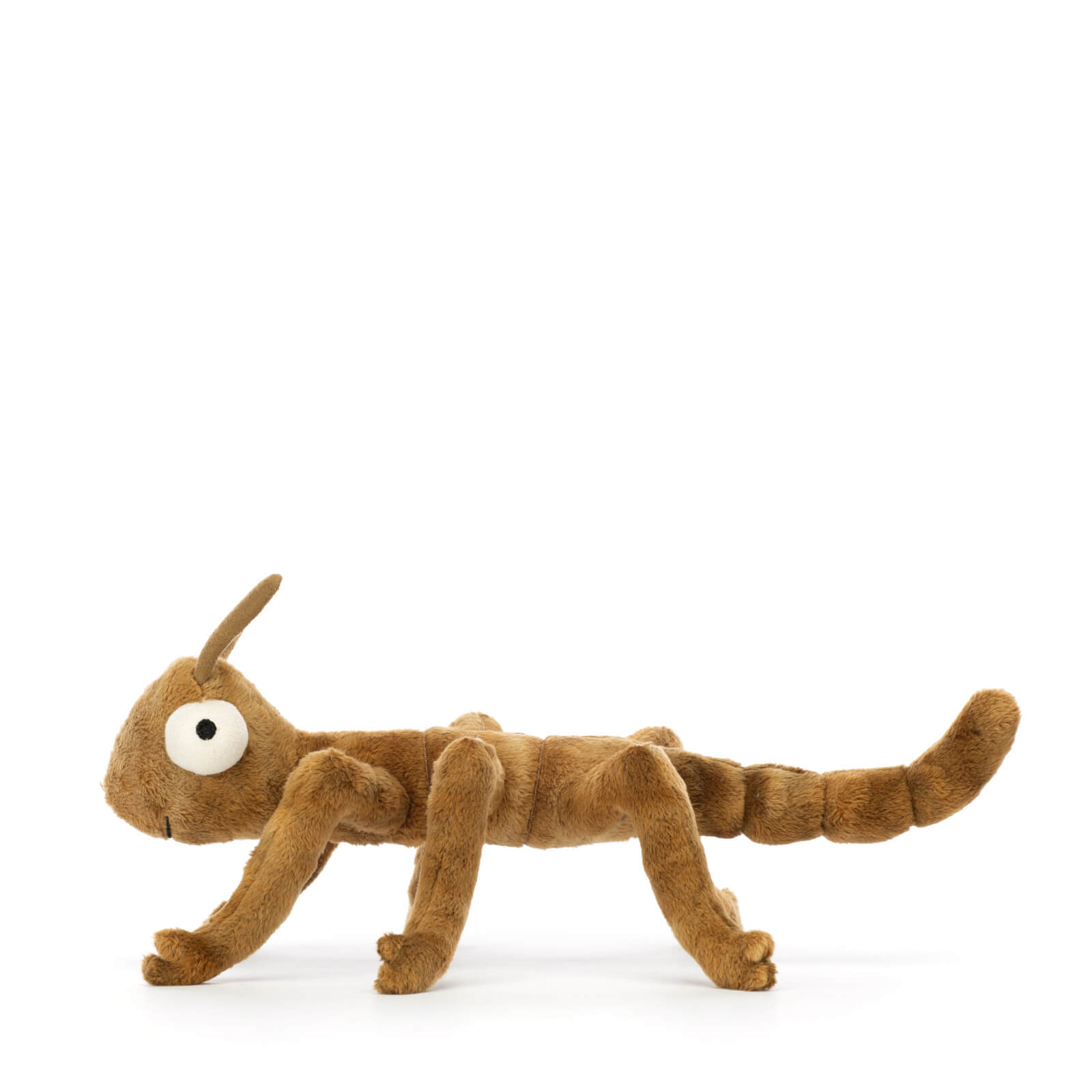 Stanley Stick Insect