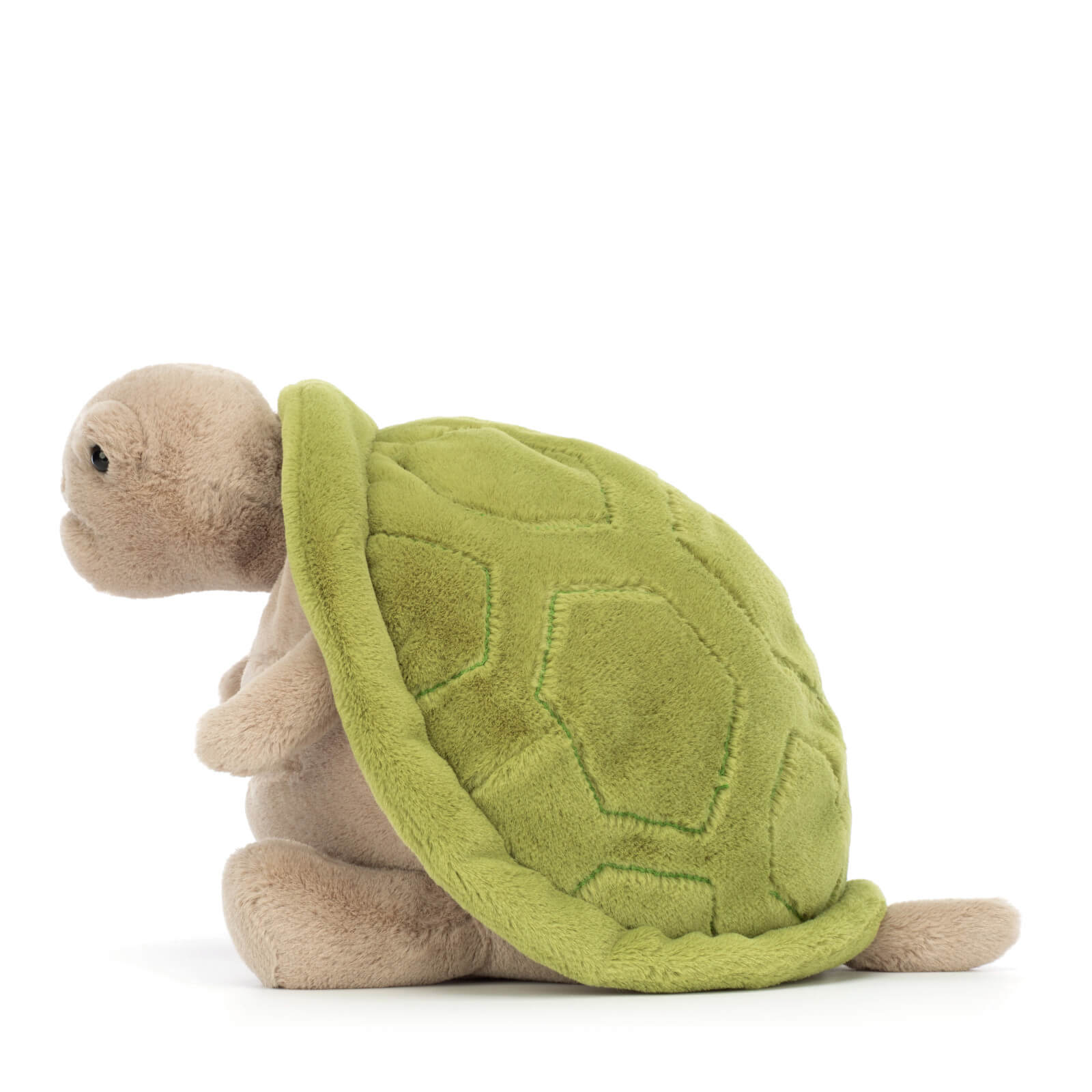 Timmy Turtle