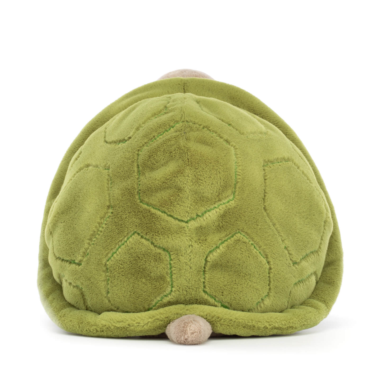 Timmy Turtle