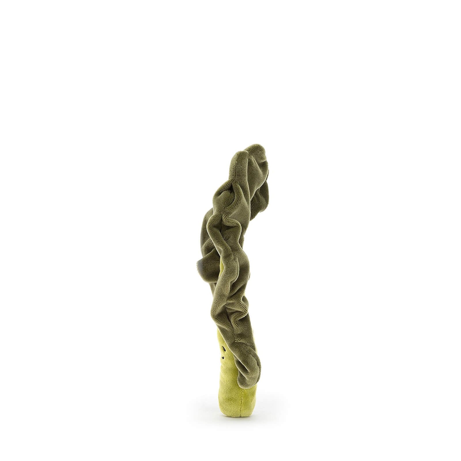 Vivacious Vegetable - Kale Leaf