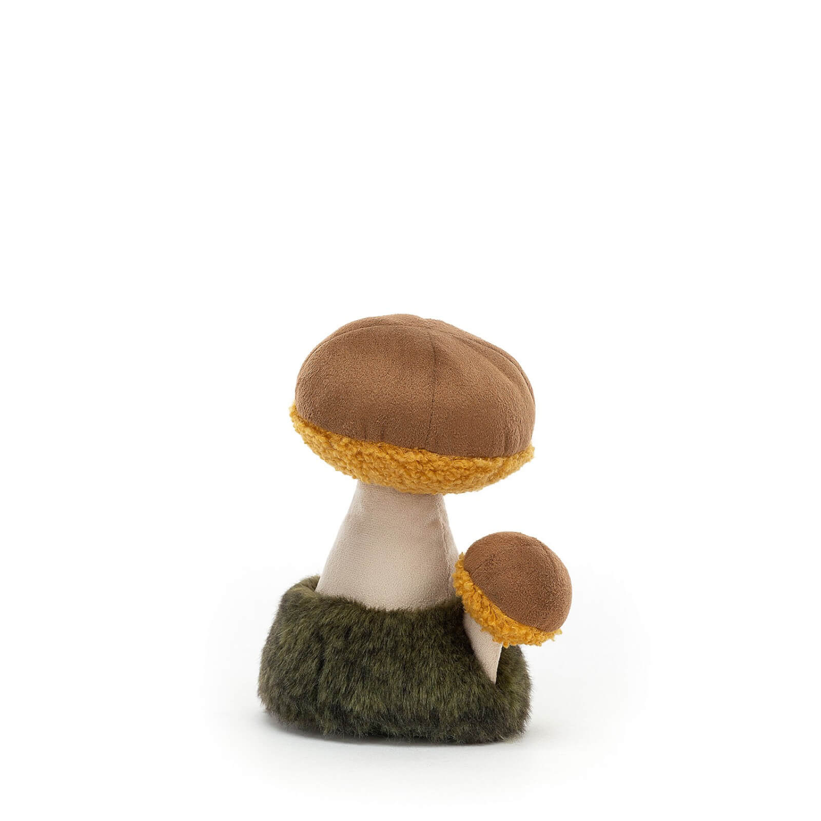 Wild Nature Boletus Mushroom