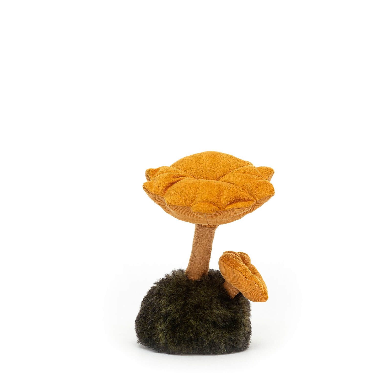 Wild Nature Chanterelle Mushroom