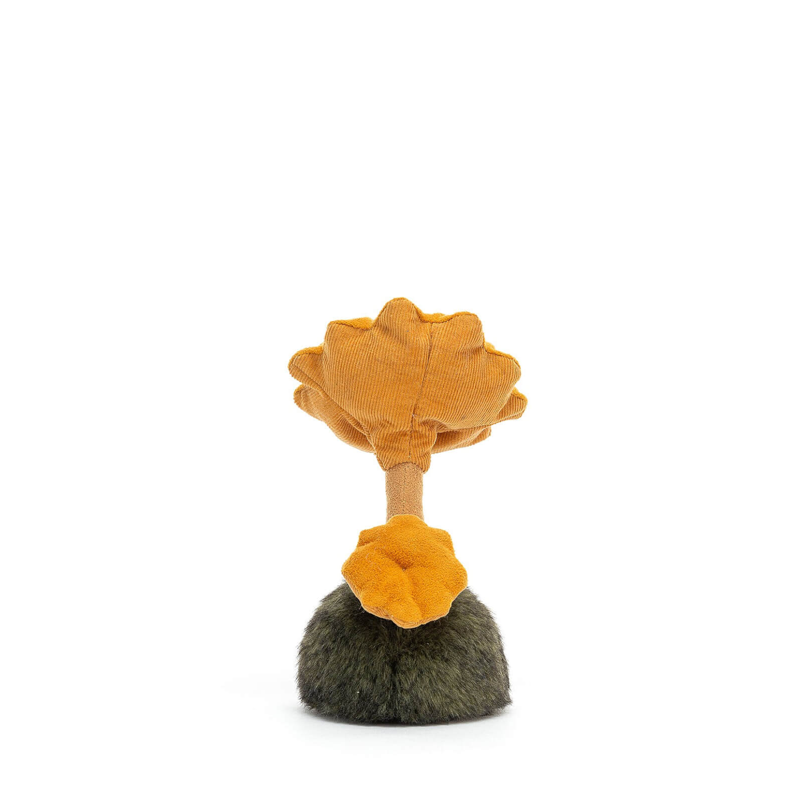 Wild Nature Chanterelle Mushroom