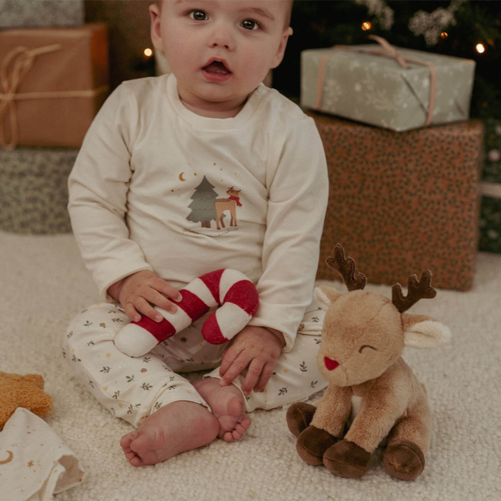 Gift Box - Christmas Reindeer