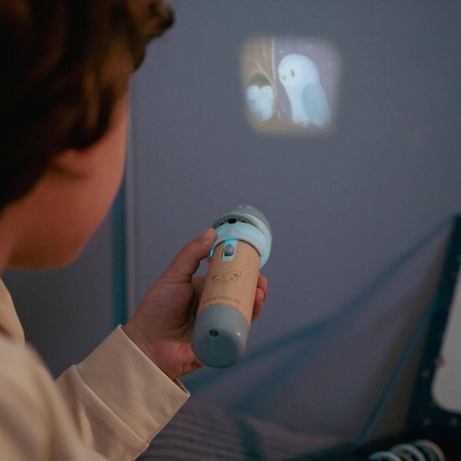 Projector Story Torch - Forest Friends