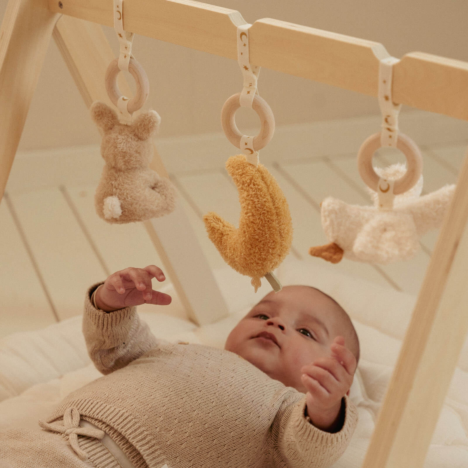 Baby Gym - Newborn Naturals