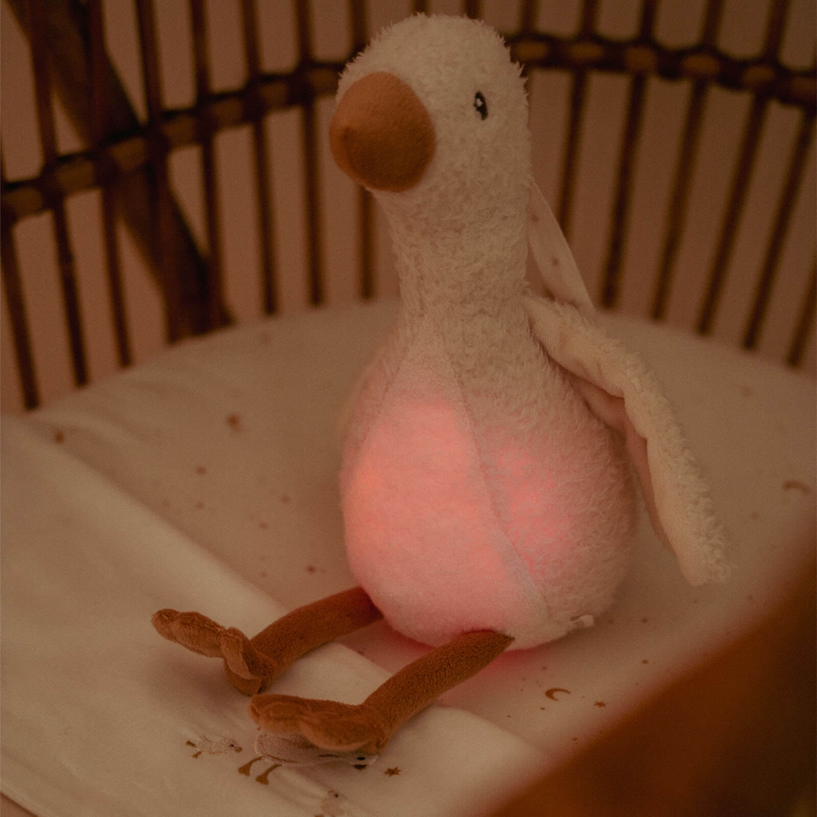 Cuddle Goose Light And Sound