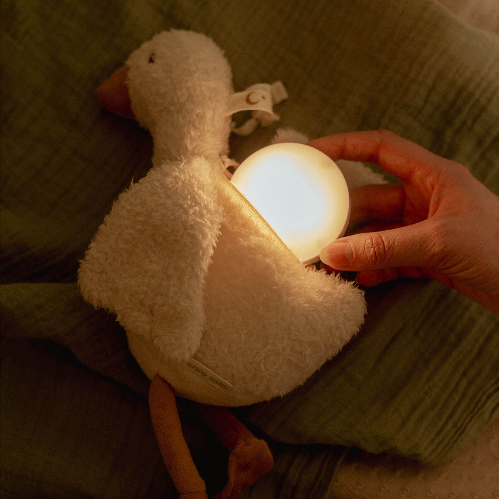 Cuddle Goose Light And Sound