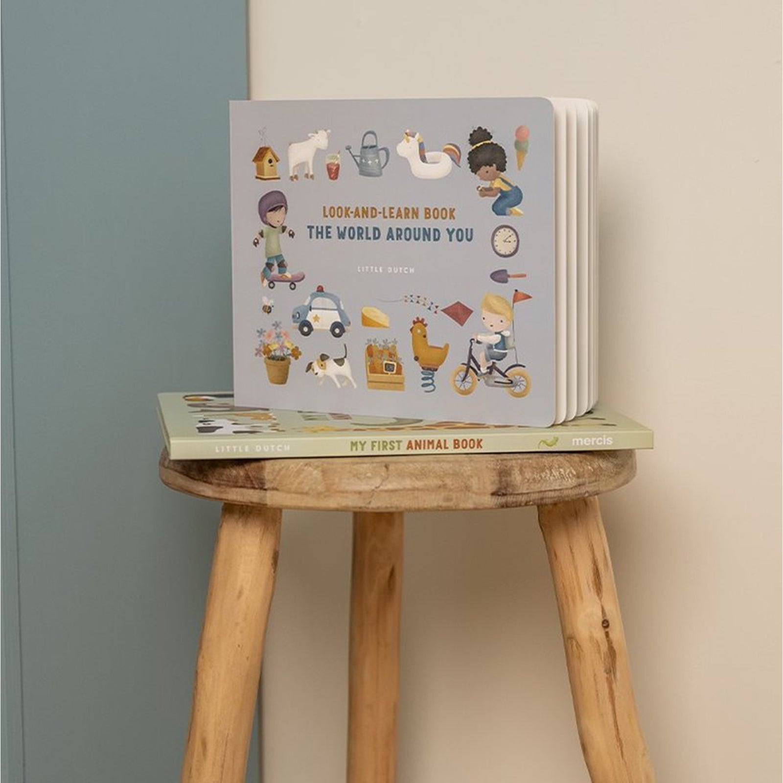 Look and Learn - The World Around You - Book