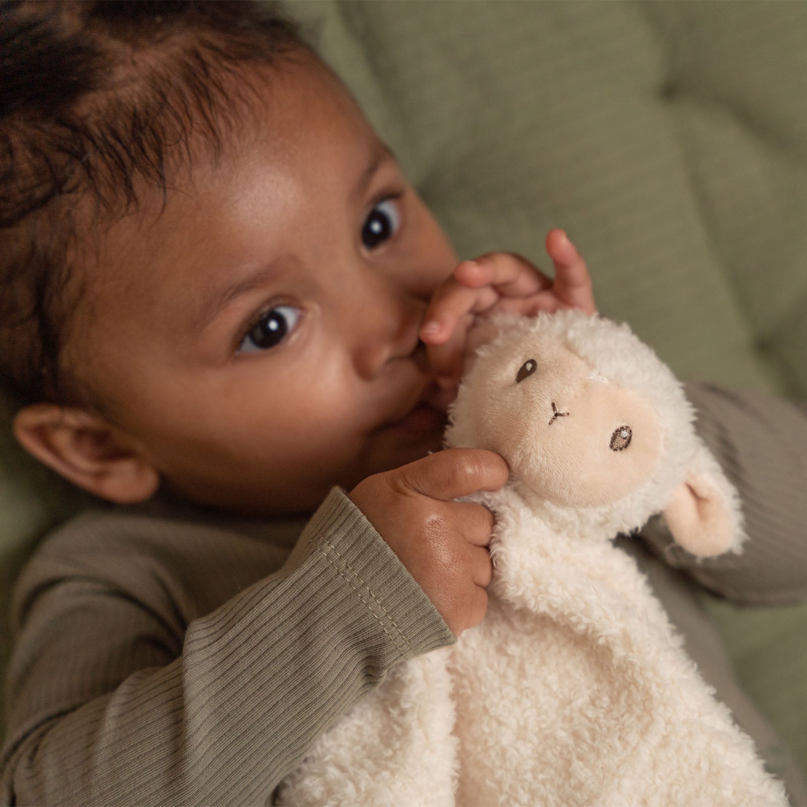 Cuddle Cloth Sheep - Little Farm