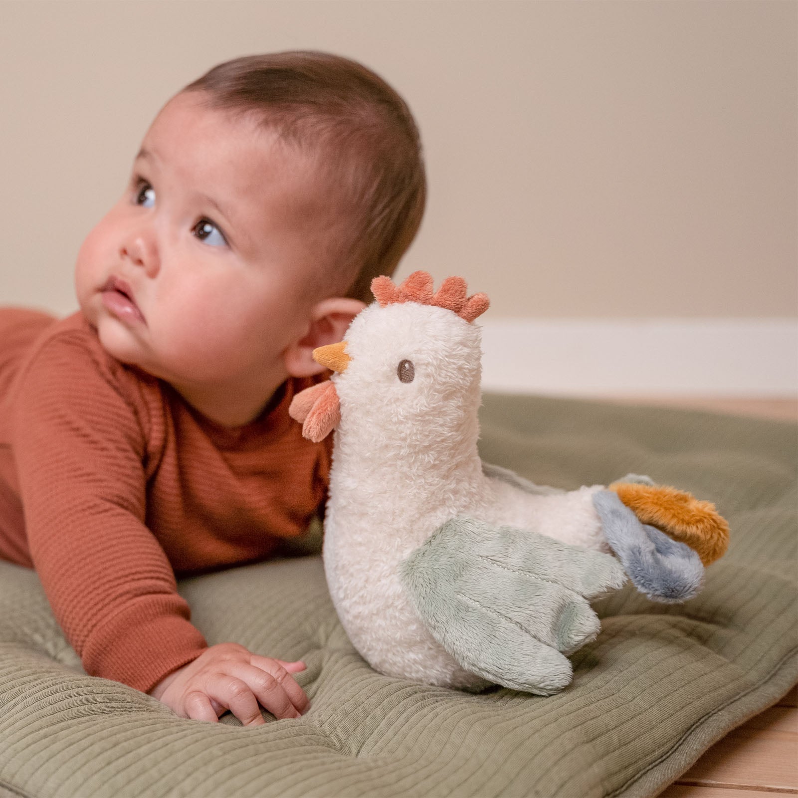 Tumbler Chicken - Little Farm