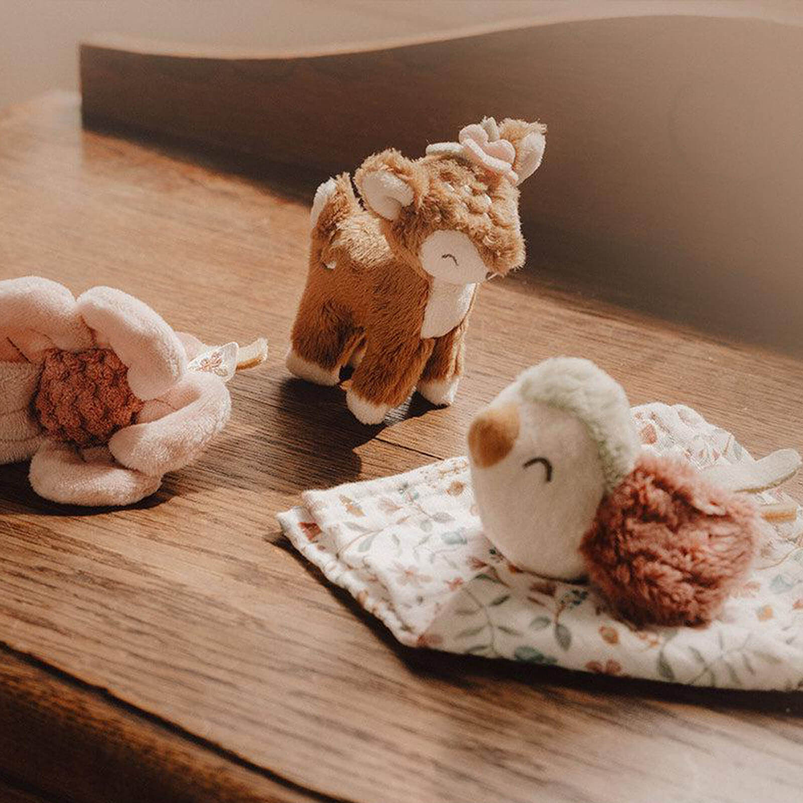 Gift Box - Fairy Garden