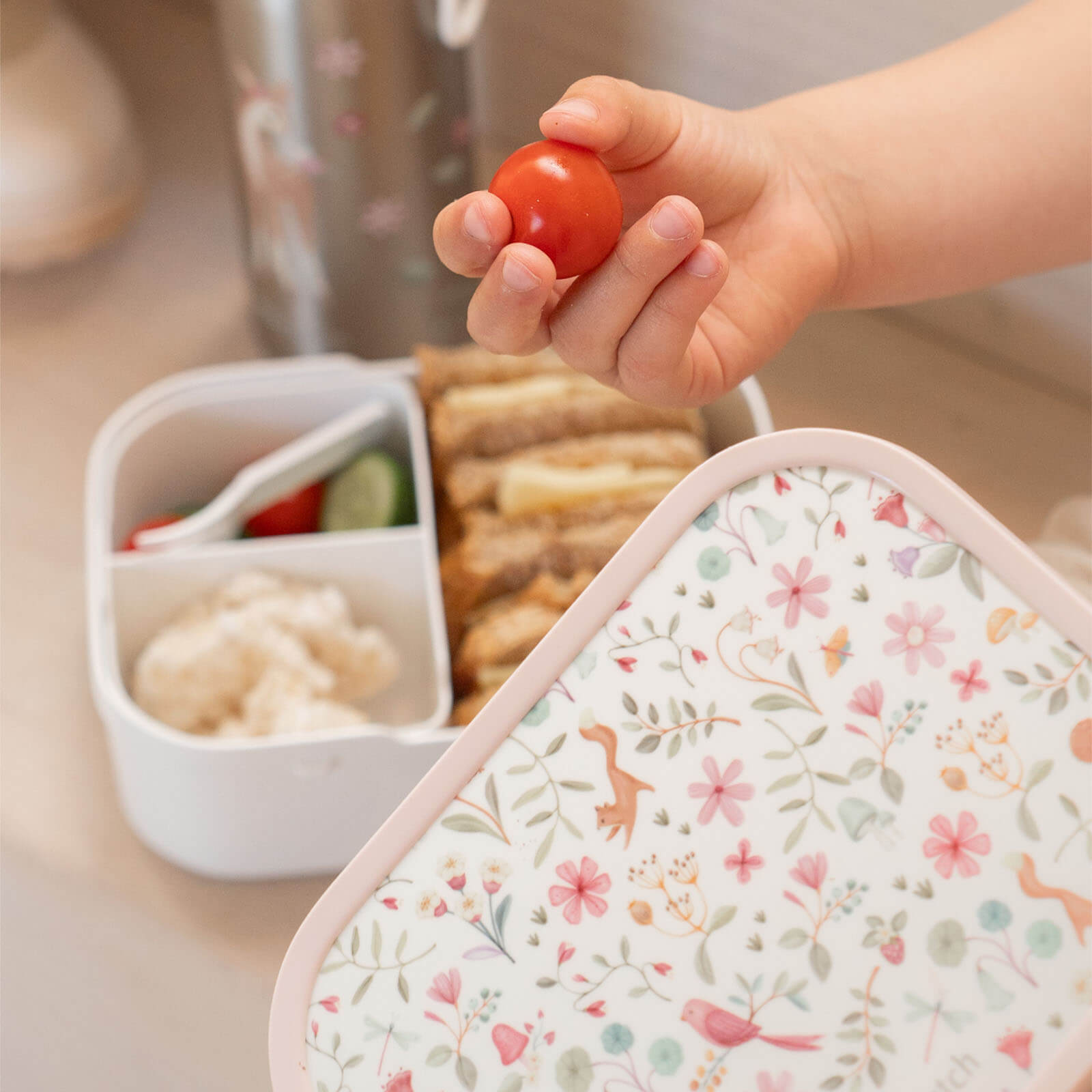 Lunch Box - Fairy Wonders