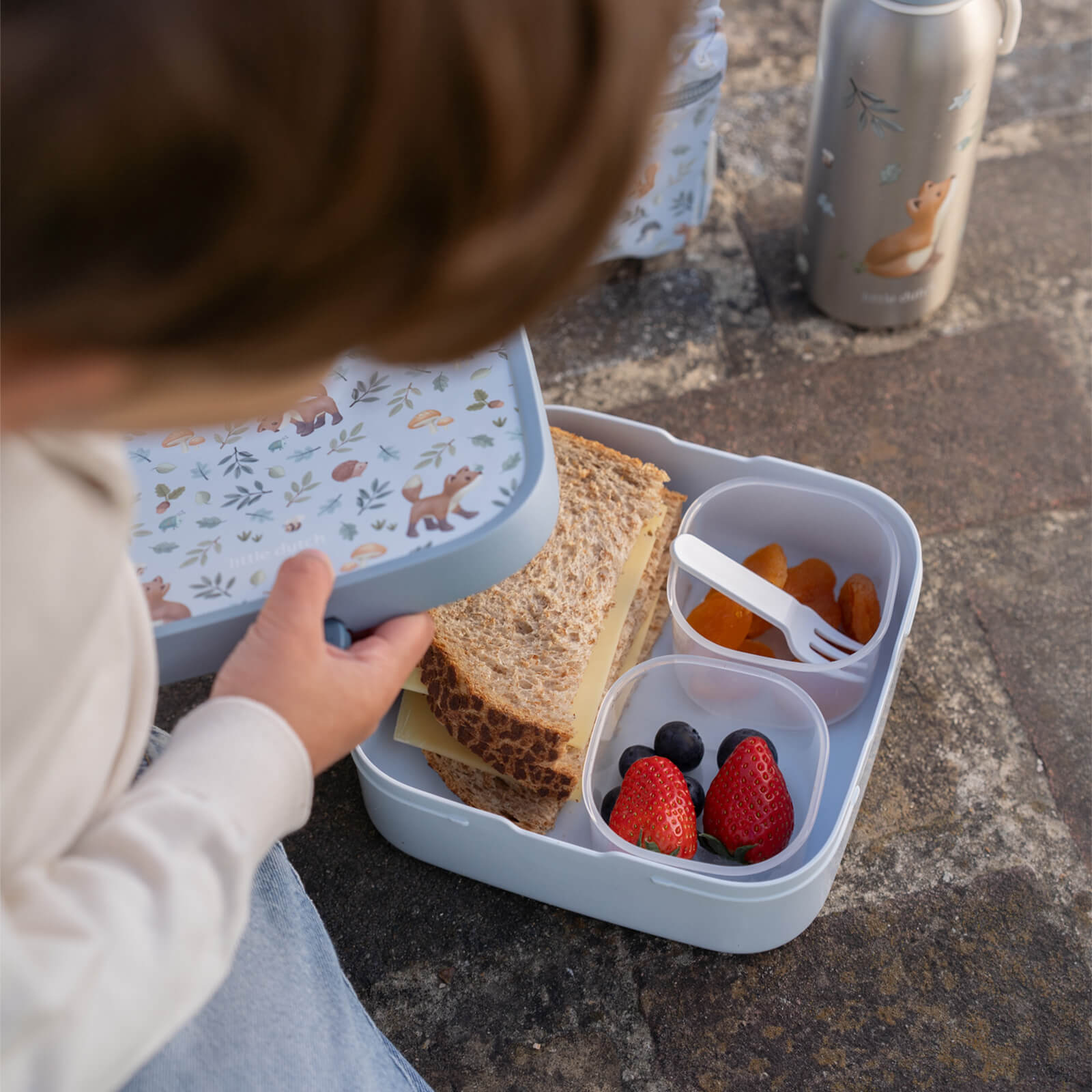 Bento Lunch Box - Forest Friends