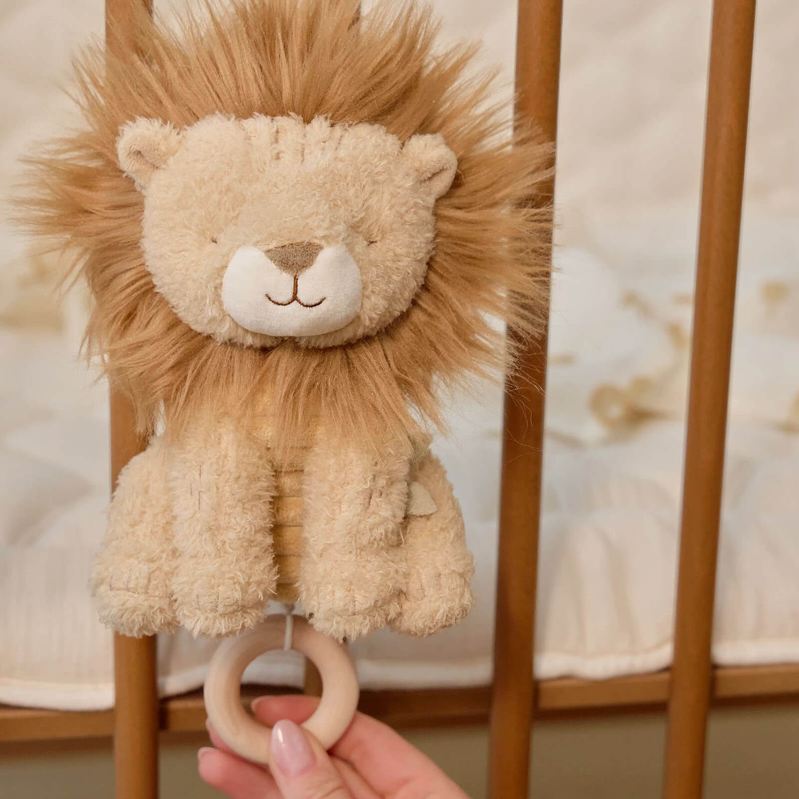 Soft Musical Pull - Lion