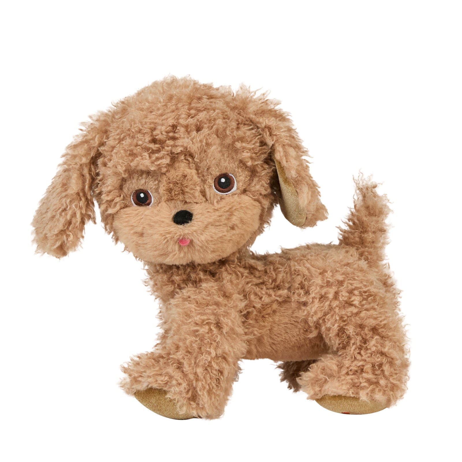 Dinkum Dog - Goldie