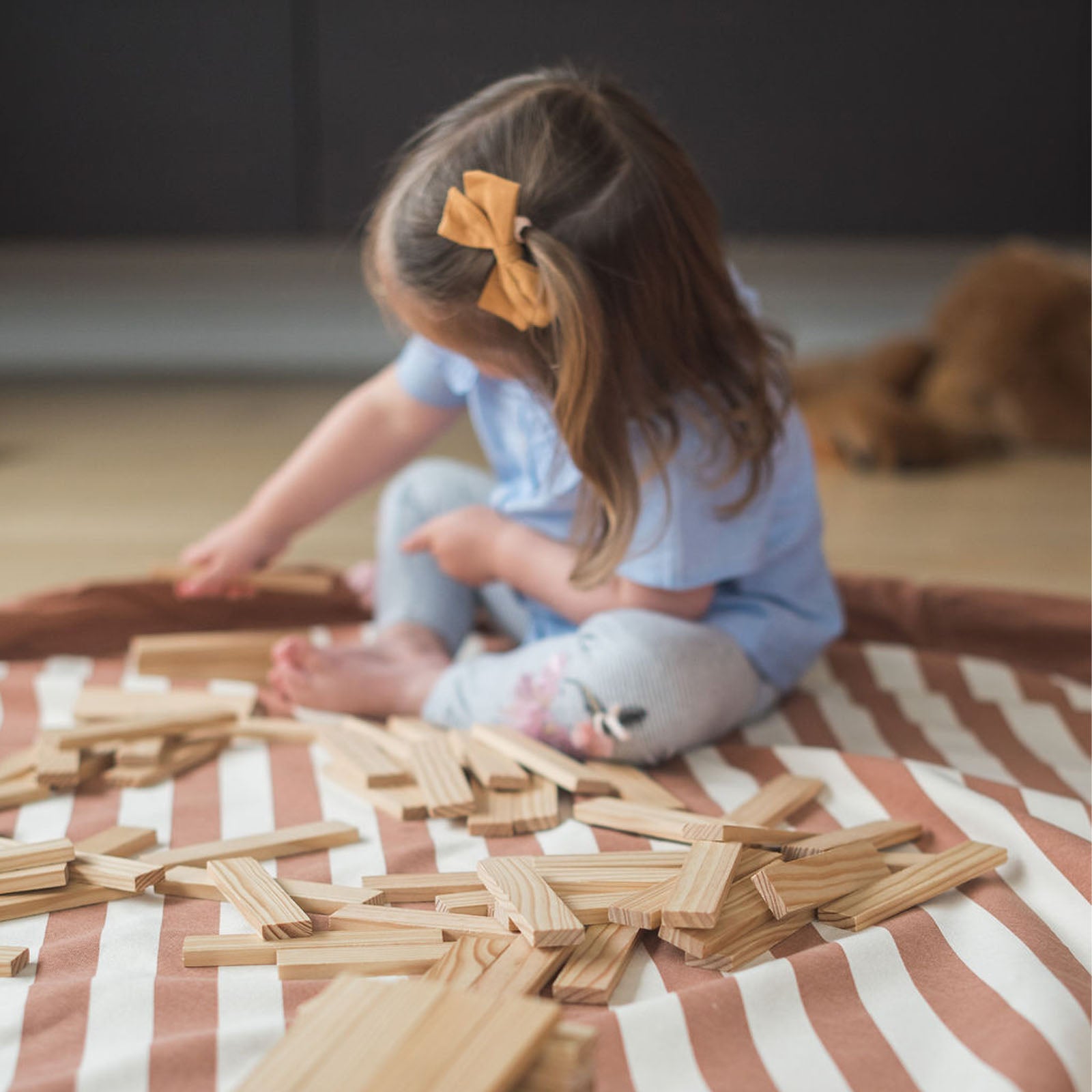 Stripes Brown Toy Storage Bag / Playmat
