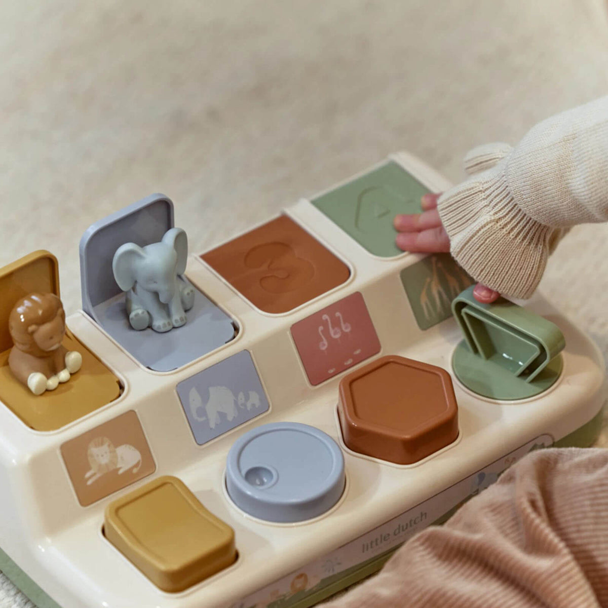 Pop-up Animals - Safari Friends