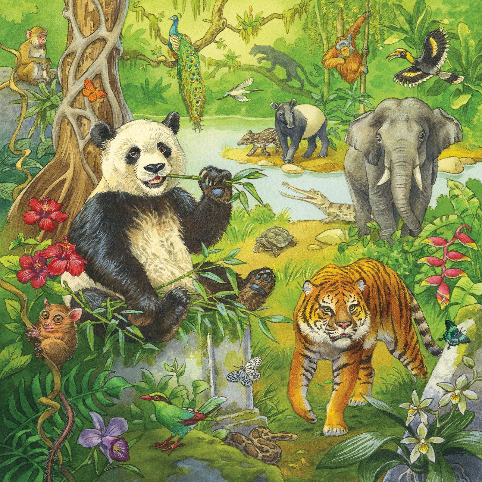 Jungle Fun - 3 x 49 Piece Puzzles