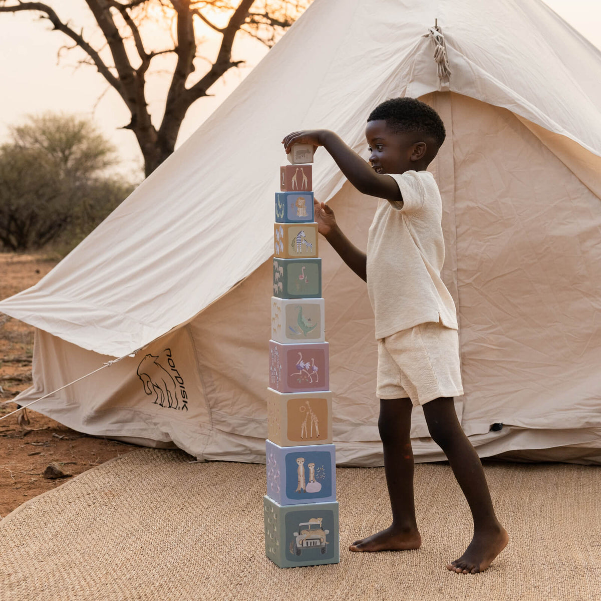 Building Blocks Cardboard - Safari Friends