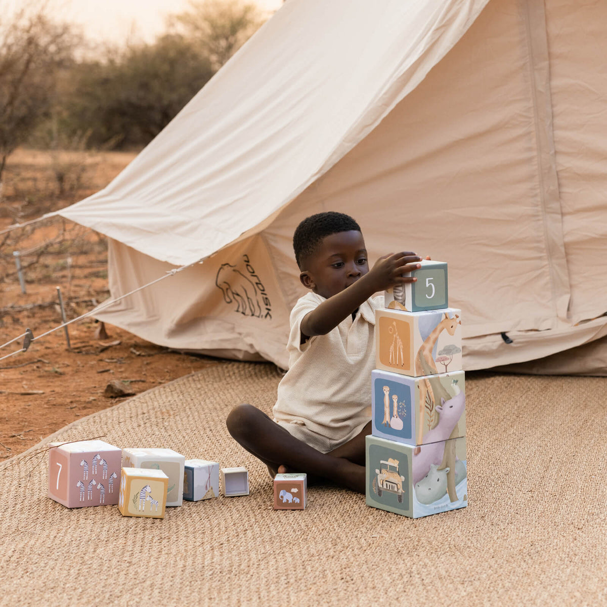 Building Blocks Cardboard - Safari Friends