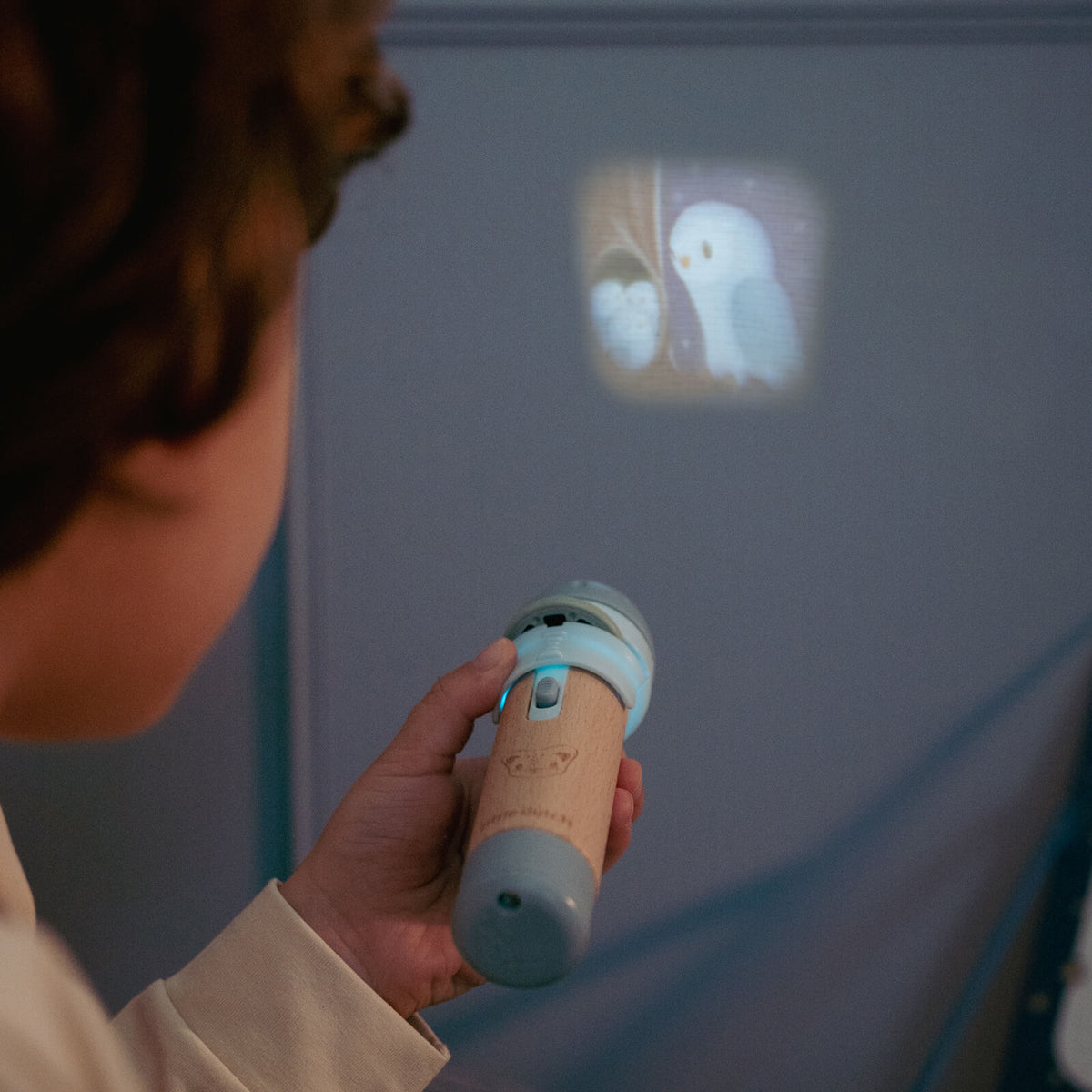 Projector Story Torch - Forest Friends