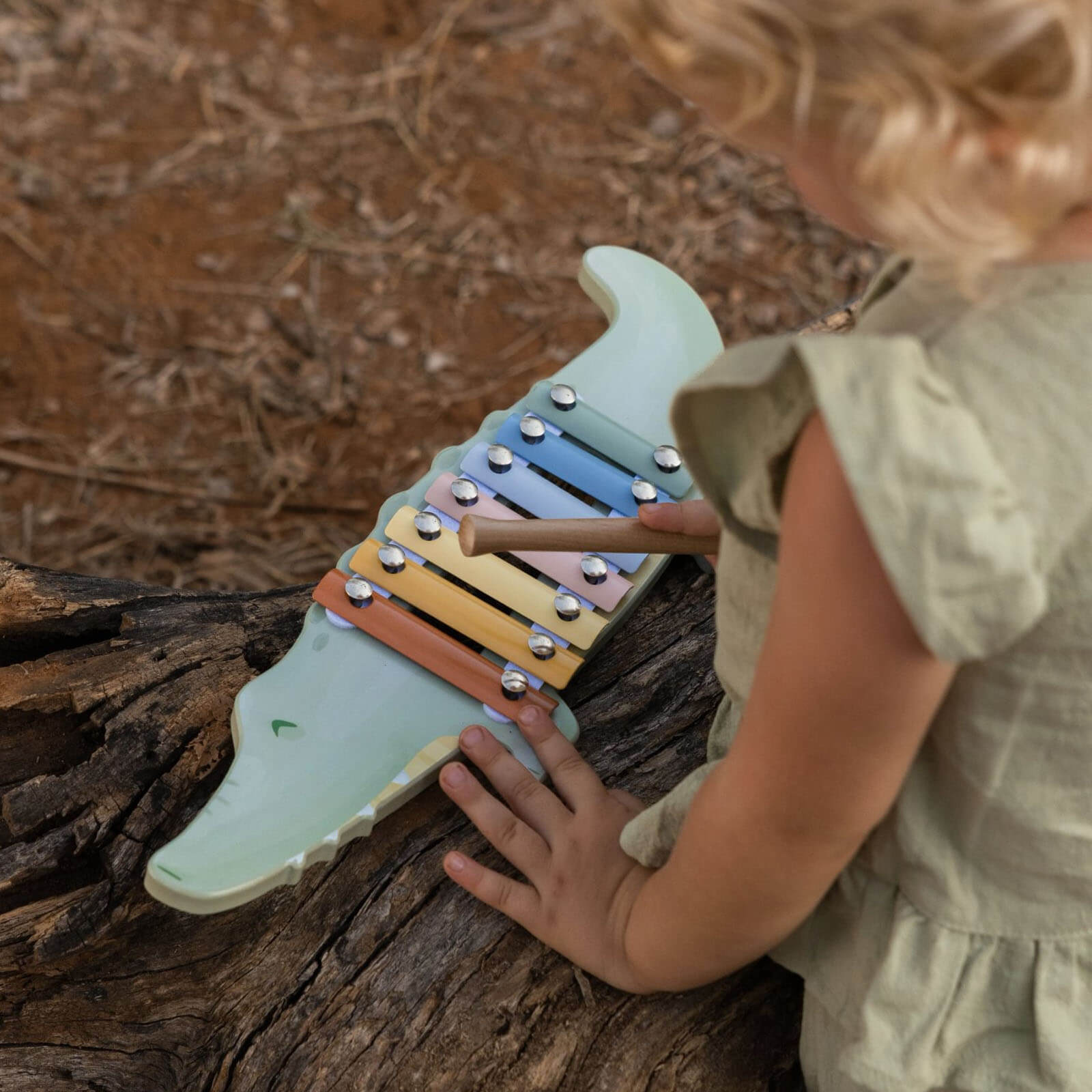 Wooden Xylophone - Crocodile
