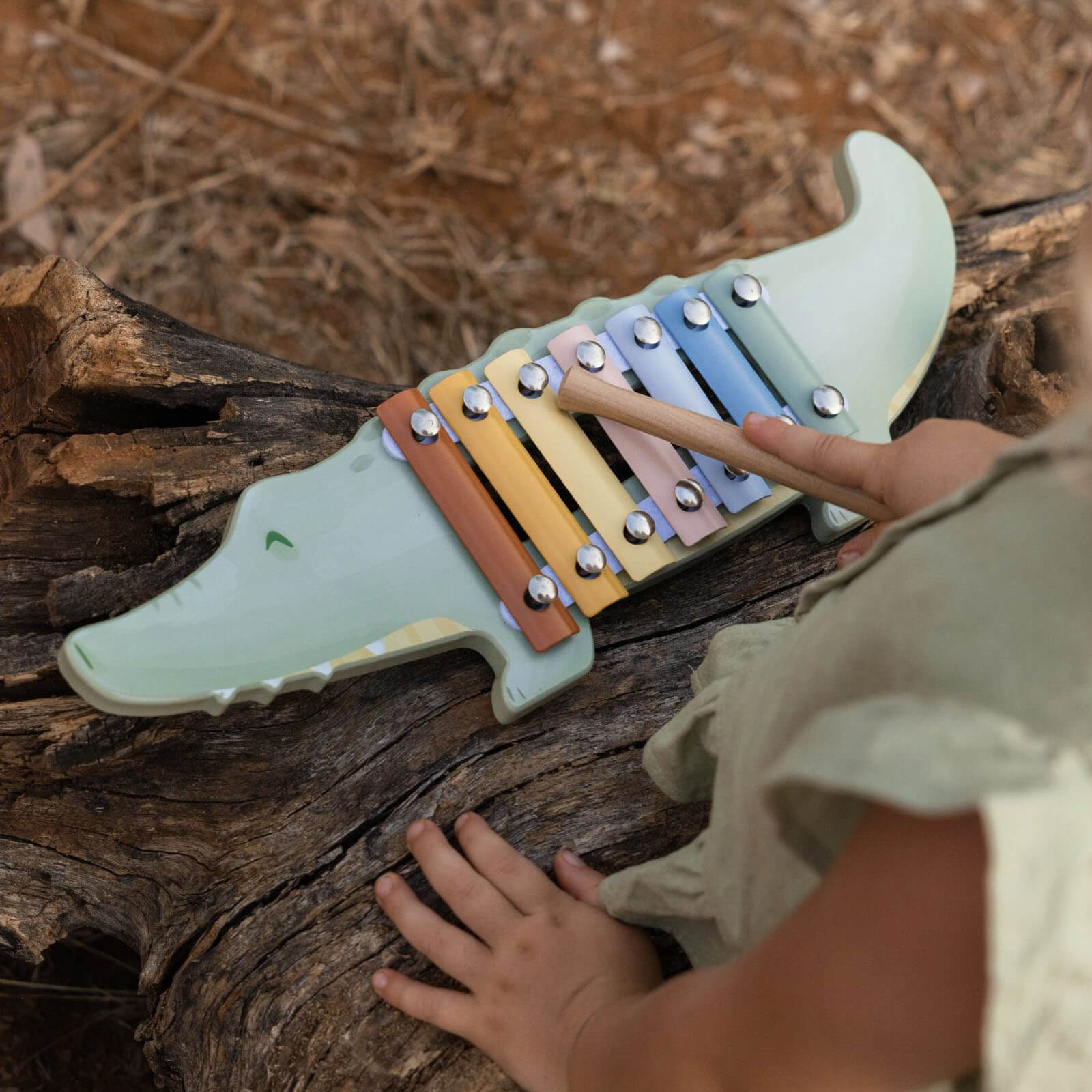 Wooden Xylophone - Crocodile