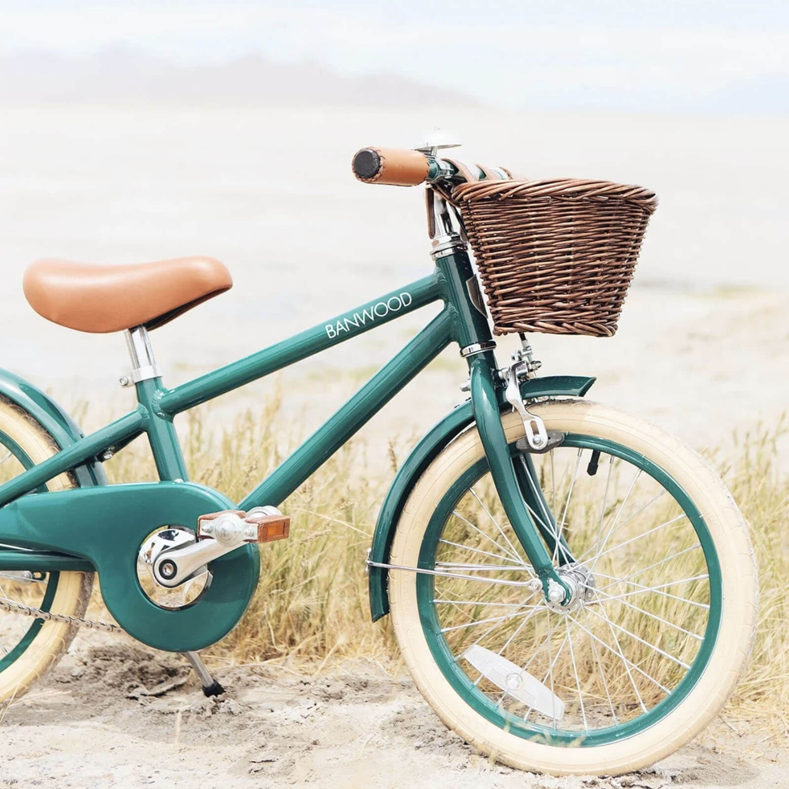 Classic Bicycle Green